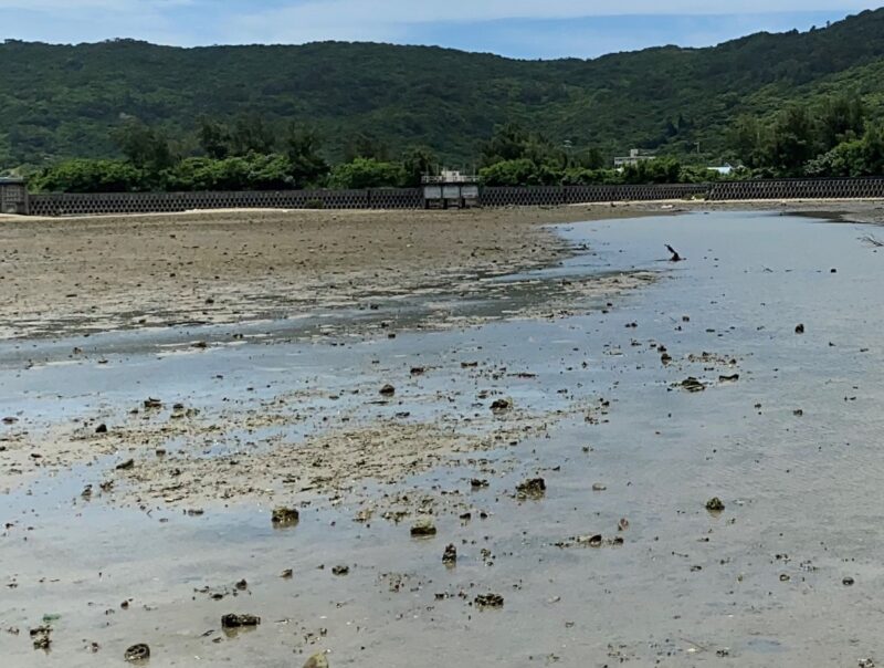 佐敷干潟の水溜まりの写真