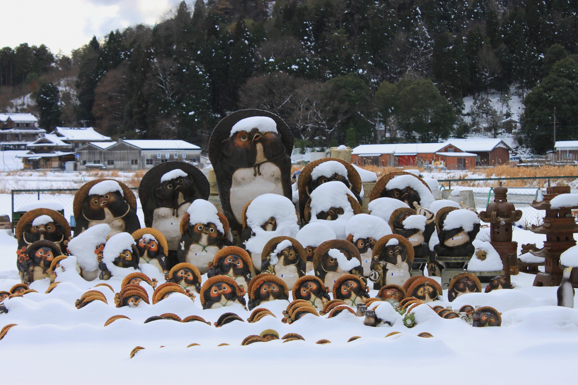 信楽の雪景色の写真